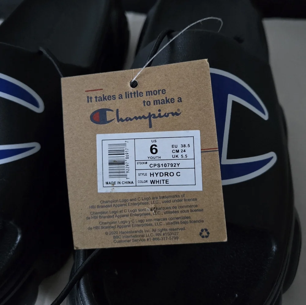 Champion Slides - Picture 2 of 6